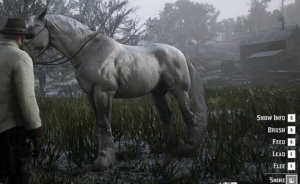 Explore diver redem Horse interactions script actions script—Blackjack, Job, Clothing, Farming, and more, including the exclusive